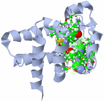 Image NMR Structure - model 1, sites