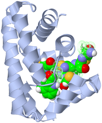 Image NMR Structure - model 1