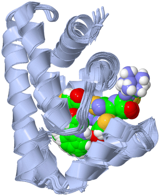 Image NMR Structure - all models