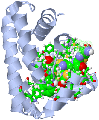 Image NMR Structure - model 1, sites