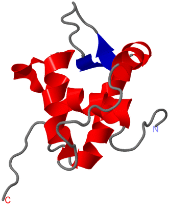 Image NMR Structure - model 1