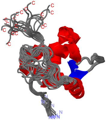 Image NMR Structure - all models