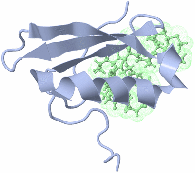 Image NMR Structure - model 1
