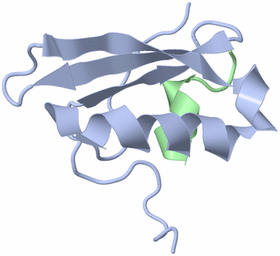 Image NMR Structure - all models