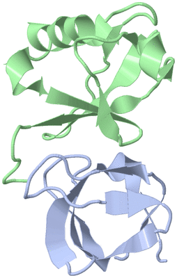 Image NMR Structure - model 1