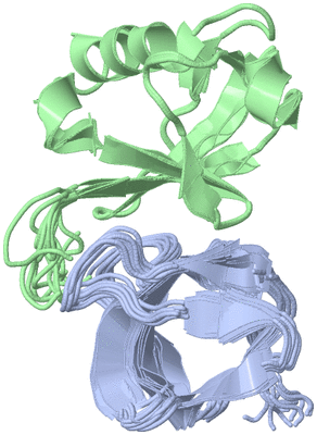 Image NMR Structure - all models