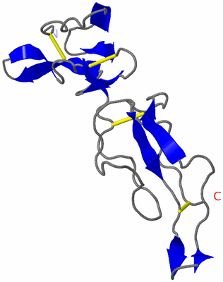 Image NMR Structure - model 1