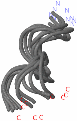 Image NMR Structure - all models