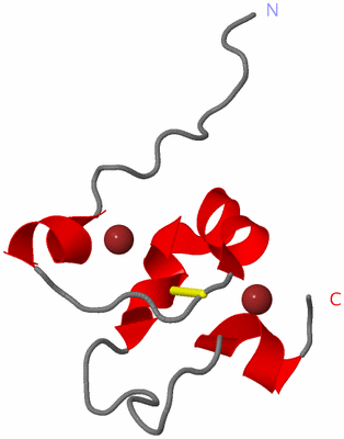 Image NMR Structure - model 1