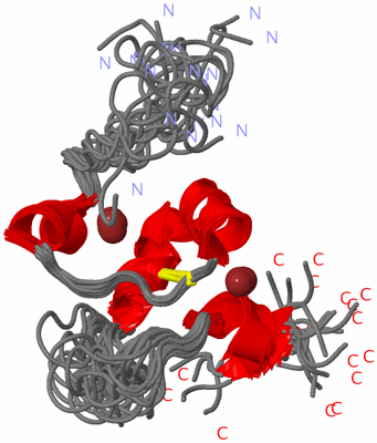 Image NMR Structure - all models