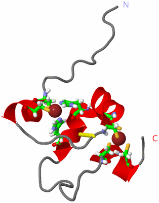 Image NMR Structure - model 1, sites