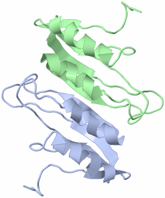 Image NMR Structure - model 1