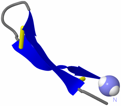 Image NMR Structure - model 1