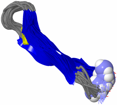 Image NMR Structure - all models