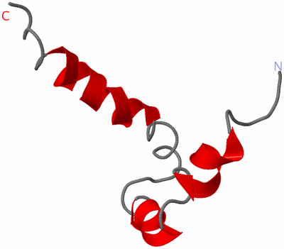 Image NMR Structure - model 1