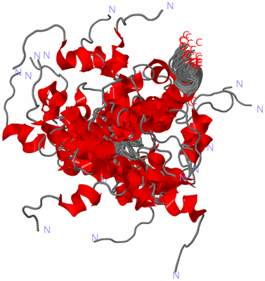 Image NMR Structure - all models