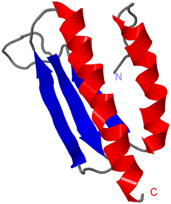 Image NMR Structure - model 1