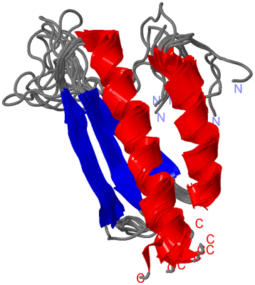 Image NMR Structure - all models