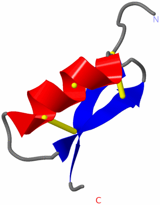 Image NMR Structure - model 1