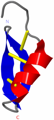 Image NMR Structure - model 1