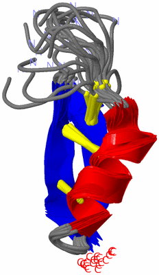 Image NMR Structure - all models