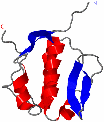 Image NMR Structure - model 1