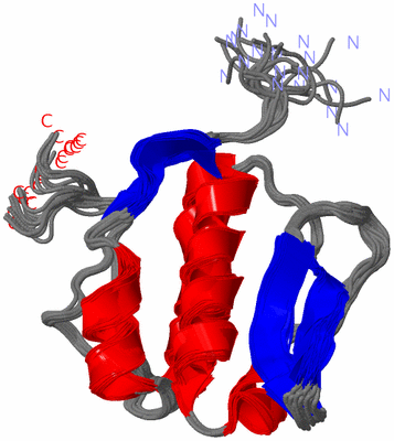 Image NMR Structure - all models