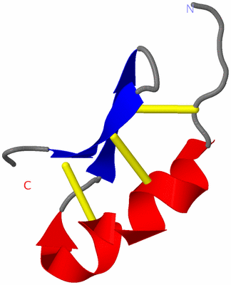 Image NMR Structure - model 1