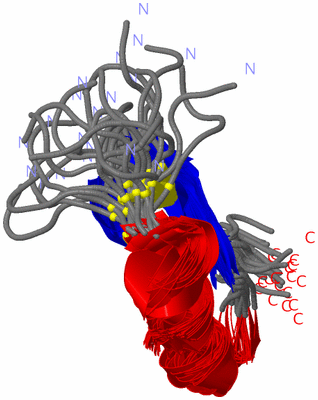 Image NMR Structure - all models