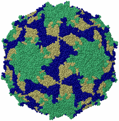 Image Biological Unit 1