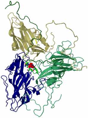 Image Asym. Unit - sites