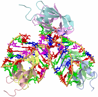 Image NMR Structure - model 1