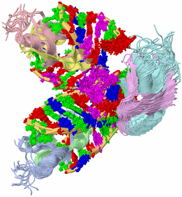 Image NMR Structure - all models