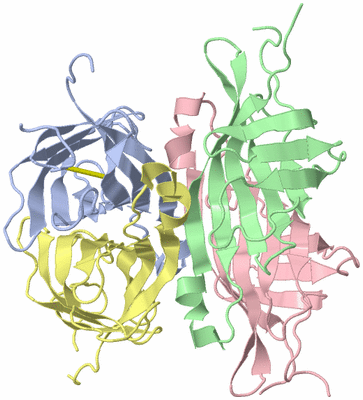 Image NMR Structure - model 1