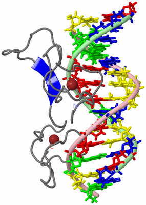 Image NMR Structure - model 1