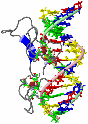 Image NMR Structure - model 1, sites