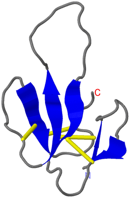 Image NMR Structure - model 1