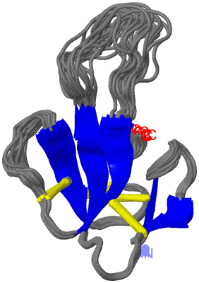 Image NMR Structure - all models