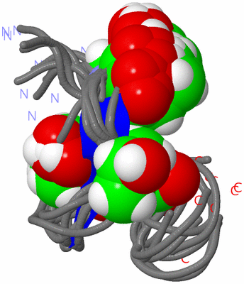 Image NMR Structure - all models