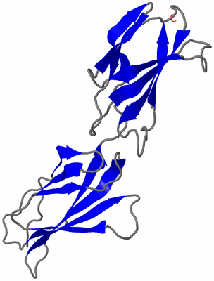 Image NMR Structure - model 1