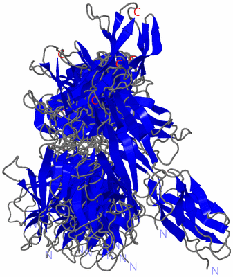 Image NMR Structure - all models
