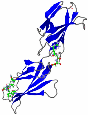 Image NMR Structure - model 1, sites