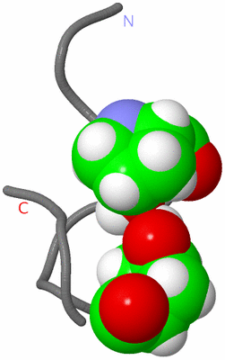 Image NMR Structure - model 1