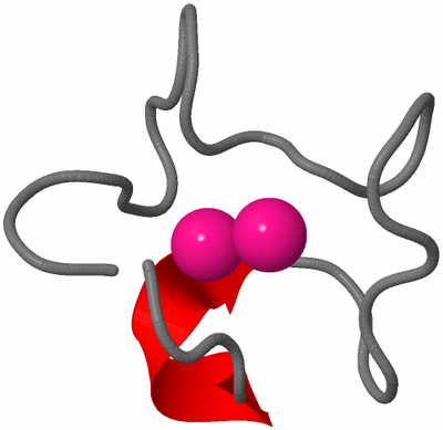 Image NMR Structure - model 1