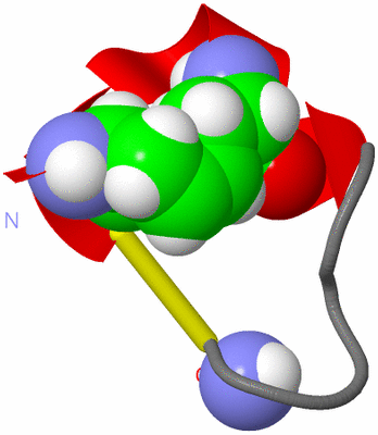 Image NMR Structure - model 1