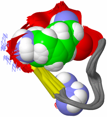 Image NMR Structure - all models