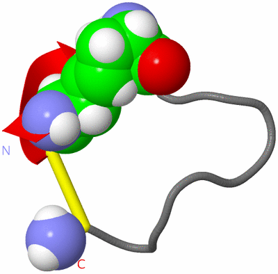 Image NMR Structure - model 1