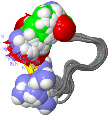 Image NMR Structure - all models