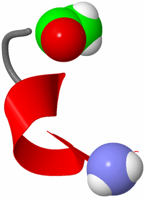 Image NMR Structure - model 1