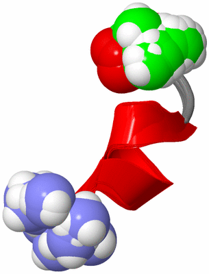 Image NMR Structure - all models